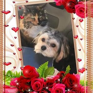 Meet your Posher, Lena